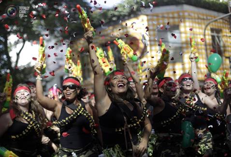 2013 Carnival In Rio de Janeiro