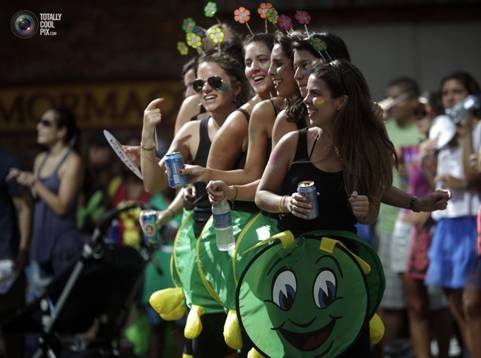 2013 Carnival In Rio de Janeiro