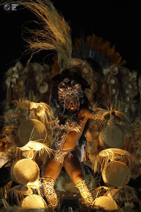 2013 Carnival In Rio de Janeiro