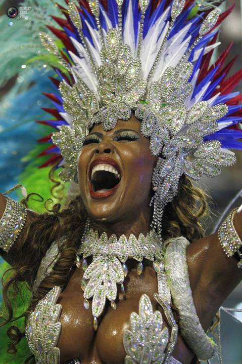 2013 Carnival In Rio de Janeiro