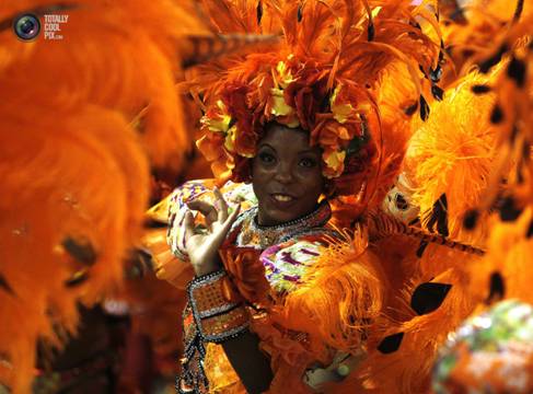 2013 Carnival In Rio de Janeiro