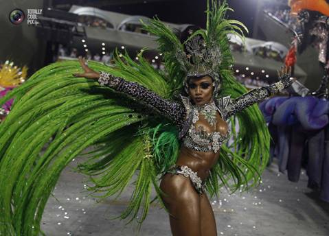 2013 Carnival In Rio de Janeiro