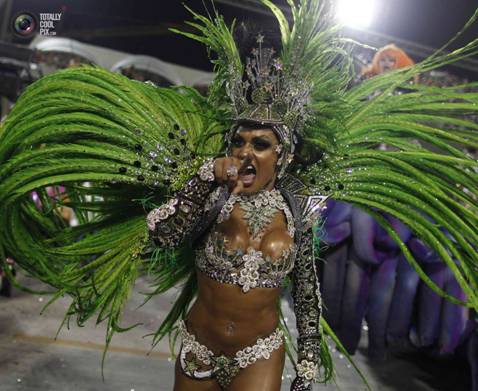 2013 Carnival In Rio de Janeiro