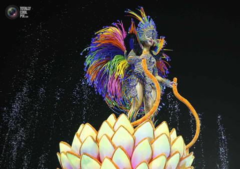 2013 Carnival In Rio de Janeiro