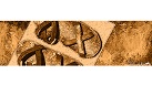 ImgOfHDPR
